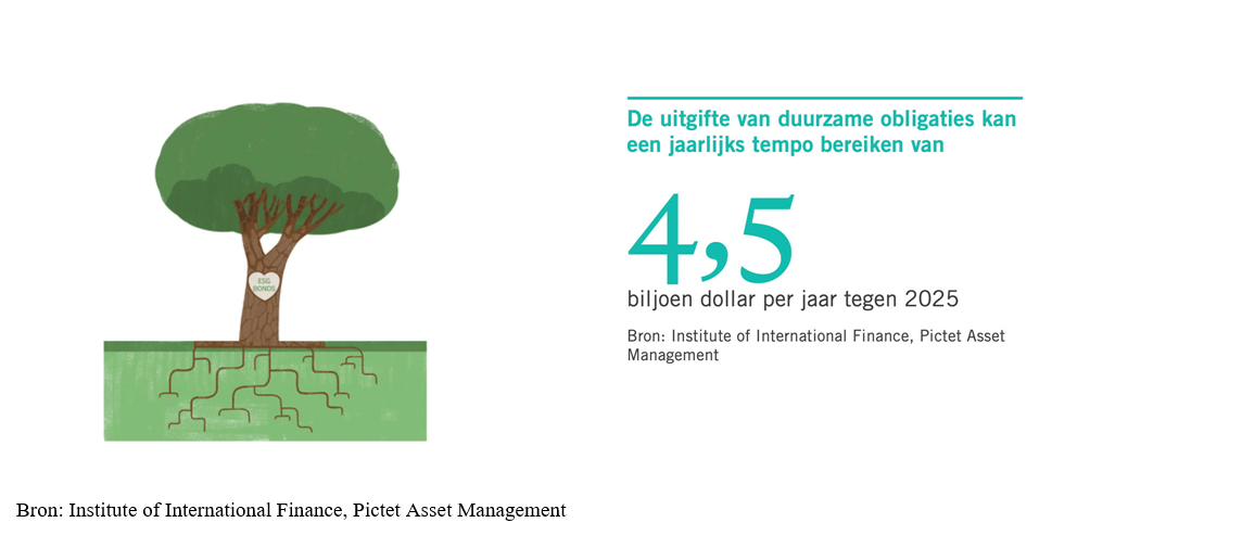 Pictet graph uitgifte duurzame obligaties