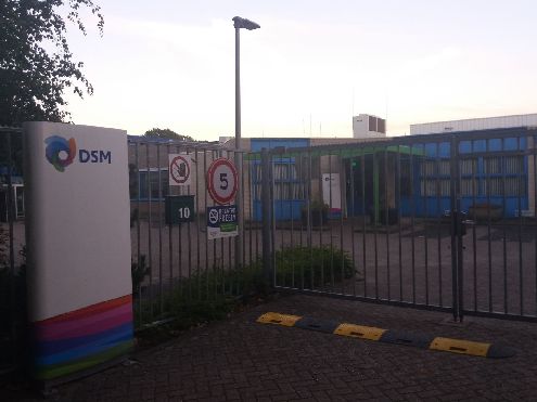 Dsm delft